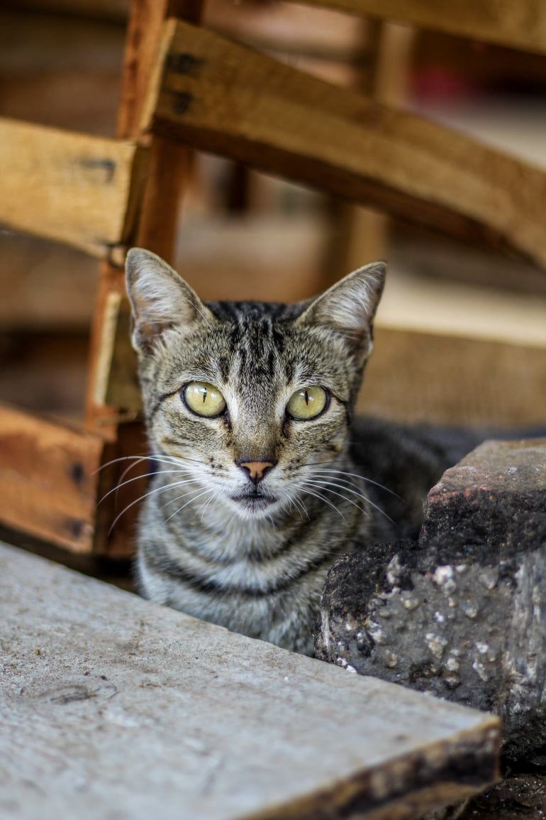 Foto feito por @jadson_50